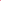 Disney Backpack Walt Disney World Logo Hot Pink Standard – Image 1 | HappilyShoppe